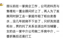 海盐遇到恶意拖欠？专业追讨公司帮您解决烦恼